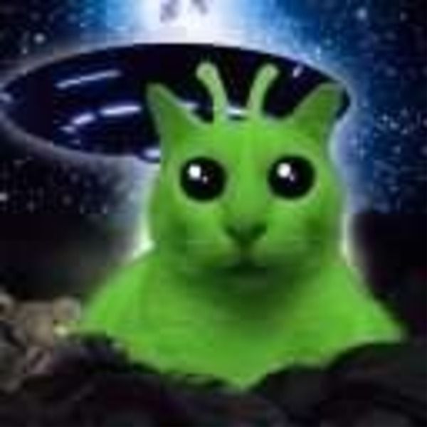 Alien Gatto